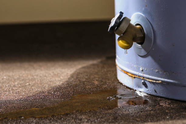 Best Carpet water damage restoration  in Pittsville, MD