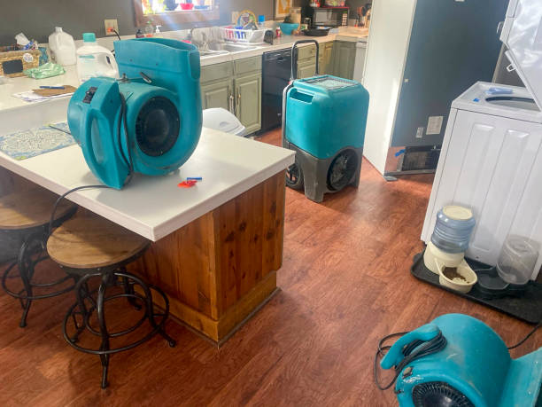 Best Water damage restoration near me  in Pittsville, MD
