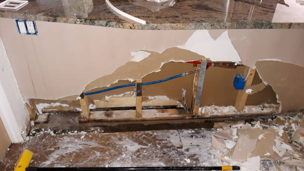 Best Sewage cleanup and water damage restoration  in Pittsville, MD