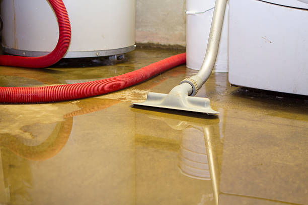 Best Ceiling water damage repair  in Pittsville, MD