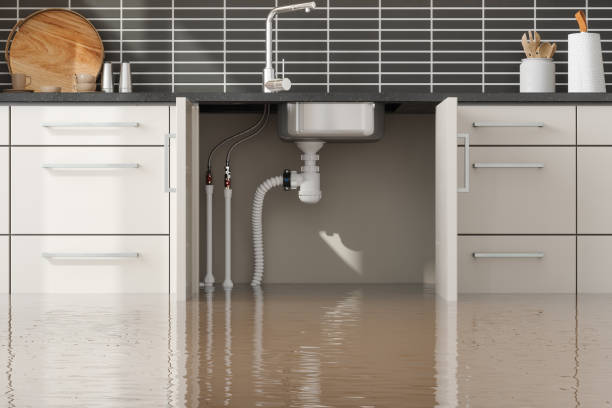 Water damage restoration experts in Pittsville, MD