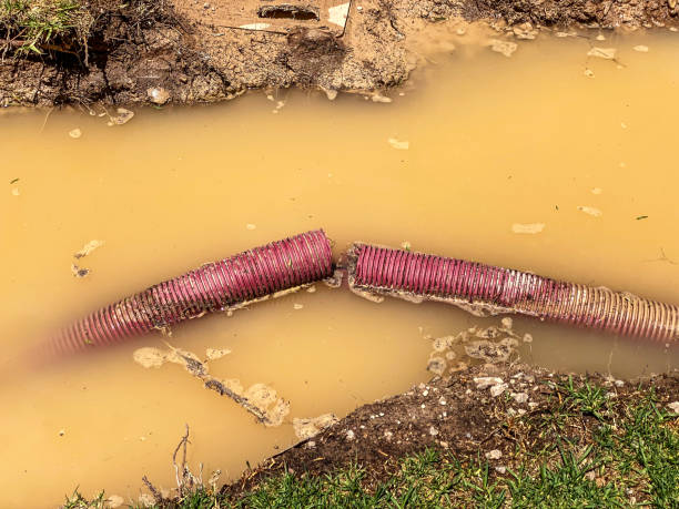  Pittsville, MD Water damage restoration Pros