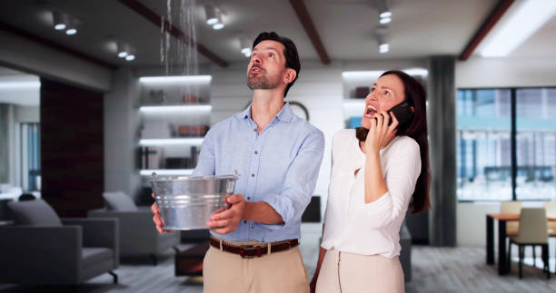 Best Basement water damage restoration  in Pittsville, MD