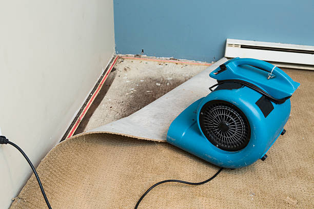 Best Flooded house restoration  in Pittsville, MD